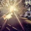 david.roszkowski - @david.roszkowski - TikTok