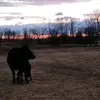 David Ryan - @david.ryan479 - TikTok