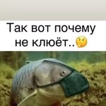 Давид - @davidsabelfeld - Instagram