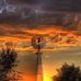 David Saling - Facebook