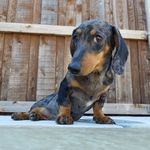 David Salyers - @leadmandave10 - Instagram