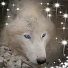 David Samples - @user410589262 - TikTok