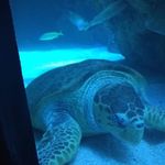 David Allen Santee - @davidsantee529 - Instagram