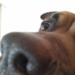 David Sassaman - @davesassaman - Instagram