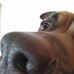 David Sassaman - Facebook