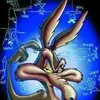 davidsatchell8 - @davidsatchell8 - TikTok
