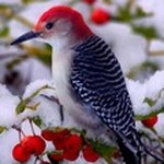 Satz David - @satzdavid46 - Instagram