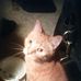Carlos David Scanlan-Caudle - Facebook