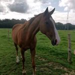 David Scanlan - @happyhacker1975 - Instagram