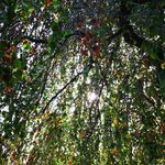 David Schall - @davidschall09878 - Instagram