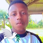 David Small - Facebook