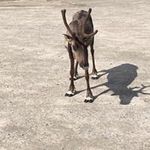 David Schär - @schaer_d - Instagram