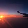david schauer - @user022982972 - TikTok
