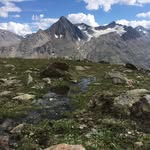 David Scheiber - @scheiber_david - Instagram