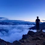 David Scheiber - @scheiber007 - Instagram