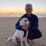 David Schell - @ledav1 - Instagram