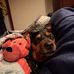 David Schell - Facebook