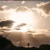 David Schmidt - @david.schmidt993 - TikTok
