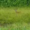 David Schmidt - @david.schmidt3 - TikTok