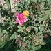 David Schmidt - Facebook