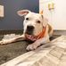 David Scherer - Facebook