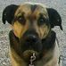 David Schmutz - Facebook