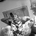 Schneider Le Roi David - Facebook