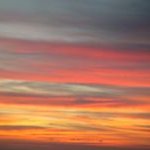 David Schopp - @wnydavid - Instagram
