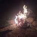 Dave Schram - Facebook