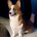 David Schramm - Facebook