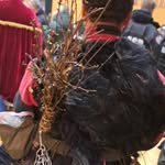 David Schreck - @schrecki.1 - Instagram