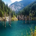 David Schreck - @david638 - Instagram
