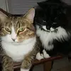 David R. Schuch - @david.r..schuch - TikTok