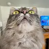 david schue - @snowschue - TikTok