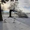 David Schuerkamp - @davidschuerkamp - TikTok