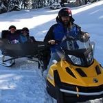 David Schwartz - @sjoelkatz - Instagram