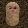David Schwartz - @david.schwartz34 - TikTok