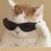 David Cheer - Facebook