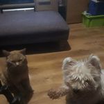 David Scriven - @david.scriven.14 - Instagram