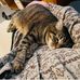 David Seamon - Facebook