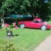 David Sear - Facebook