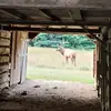 David Searcy - @david.searcy4 - TikTok