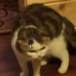 David - @_david_searle_ - Instagram