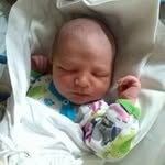 David Sebesta - @david.sebesta.925 - Instagram