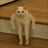 David Šebesta - @david._.sebesta - TikTok