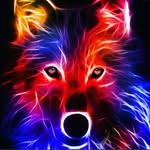david seckinger - @davidseckinger01 - Instagram