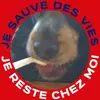 David Seckinger - @david.seckinger - TikTok