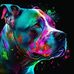 Dave Seachrist - Facebook