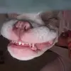David Sedeño - @chivabuyates17 - TikTok