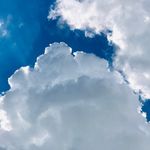 David Sedgwick - @david.sedgwick.98 - Instagram